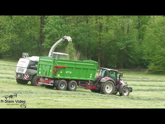 Die Raubkatze zurück im Gras - Claas Jaguar 970 beim Gras häckseln ( Steyr , Case )