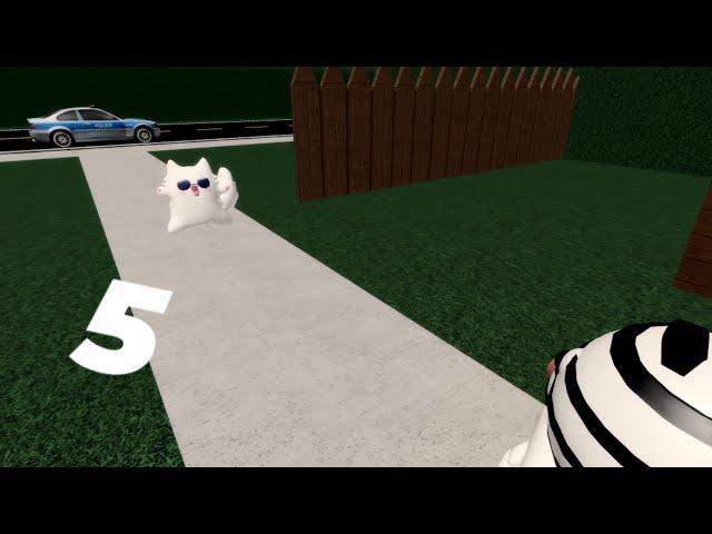 ZFW 5: The cat incident (PART 1)