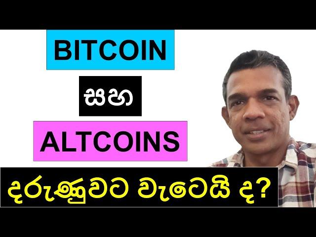 BITCOIN සහ ALTCOINS දරුණුවට වැටෙයි ද? | CRYPTO BULL RUN 2024