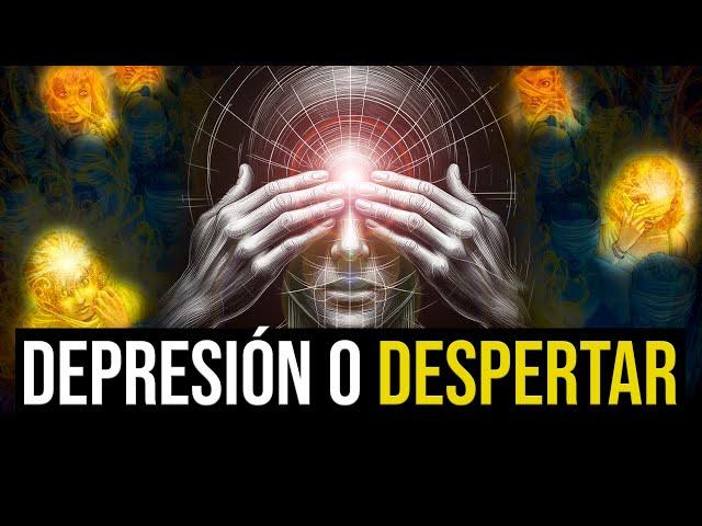 NO Estas Solo | El Proceso del Despertar Espiritual EXPLICADO