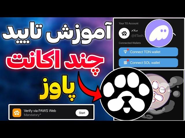 آموزش تایید چند اکانت پاوز  اتصال کیف پول فانتوم به پاوز️ ایردراپ paws