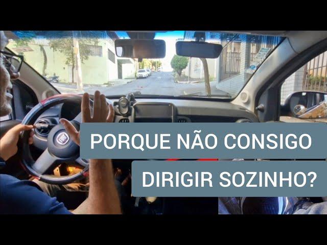 ASSIM VOCÊ VAI DIRIGIR SOZINHO