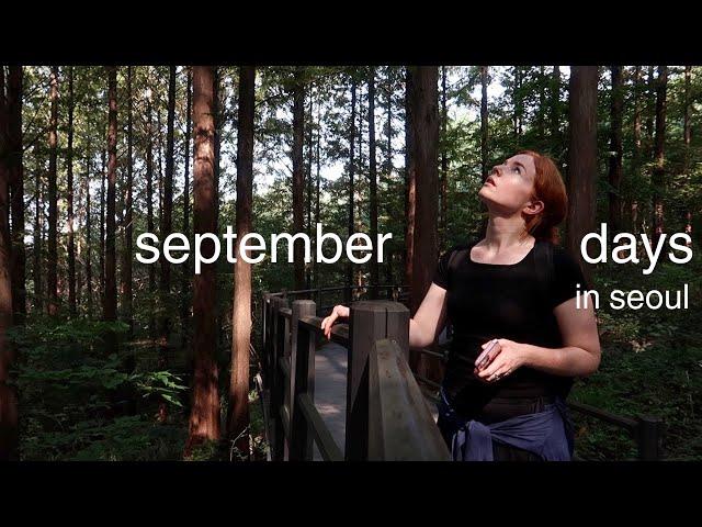 seoul diaries  ceramics, hiking, cleaning my apartment, hints of autumn, life in korea VLOG