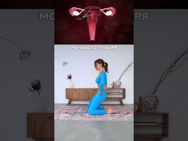 3 минуты в день для женского здоровья!  Устрани боли, восстанови цикл и укрепи таз!