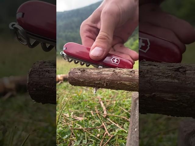 An Incredible Survival Trick with Victorinox Swiss Army Knife #survival