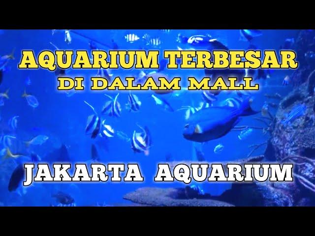 AQUARIUM TERBESAR DI DALAM MALL || JAKARTA SAFARI AQUARIUM 2024