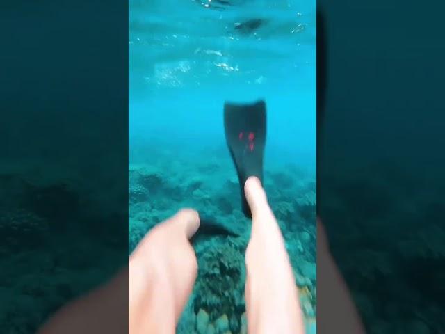 ️   #bali #amed #love #snorkeling