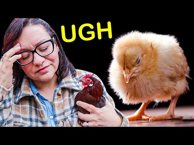 What I Wish I Knew BEFORE Getting Backyard Chickens