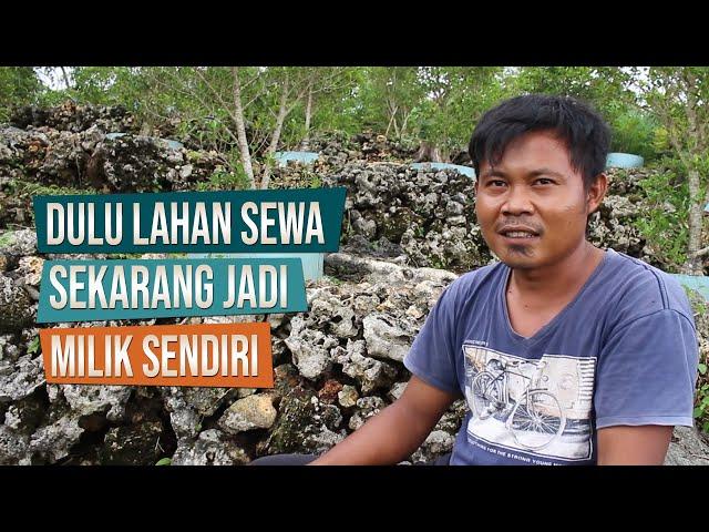 Awalnya Sewa Lahan Ground Sekarang Jadi Milik Sendiri, Kisah Sukses Budidaya Bahan Bonsai Mas Ismail