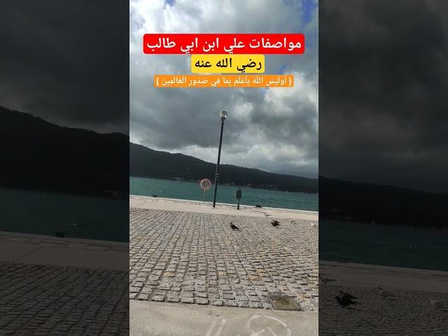 مواصفات علي ابن أبي طالب رضي الله عنه #بدر_المشاري #الرسول