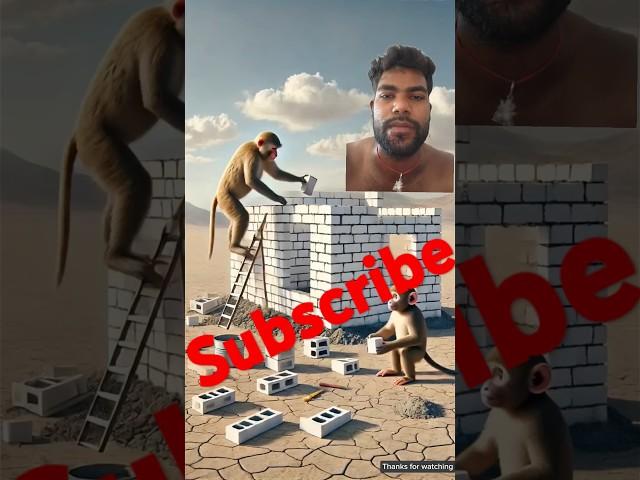 The monkey and his child work hard to build a house in the desert  #ai #monkey #house