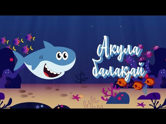 Акула балақай | Bilimland Kids | Малыш-акула