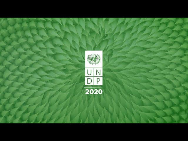 UNDP's 2020 Annual Report