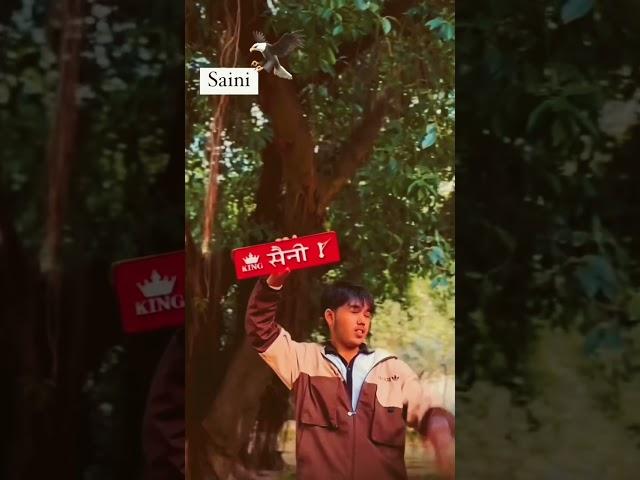 Rome   Sajni # Amit saini #     @  @  # Saini