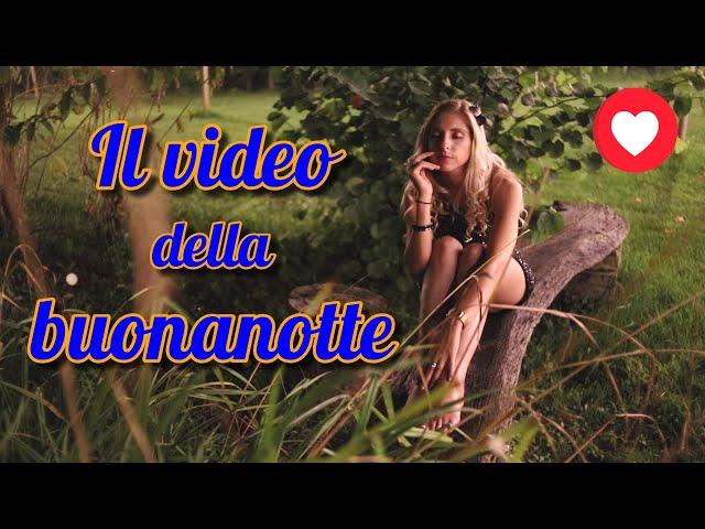 Il video della buonanotte - Seguiteci su Officina Fotografica