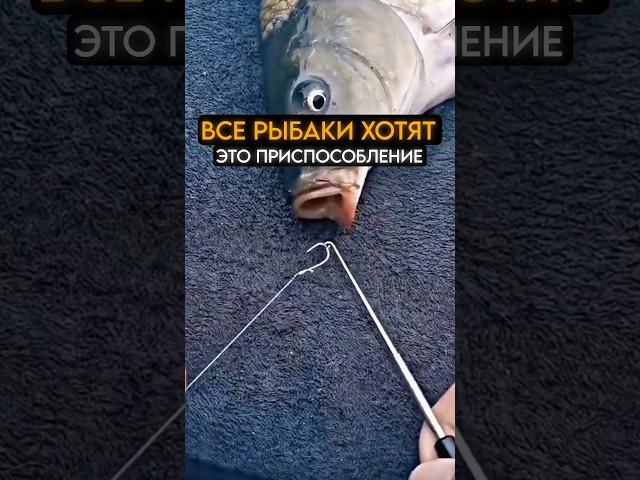 Все рыбаки хотят это приспособление для рыбалки #fishing #карась #рыбалка
