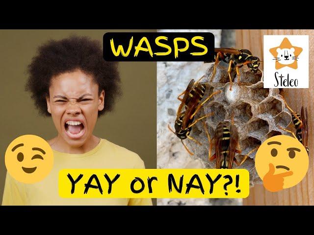 Wasps for Kids | 15 interesting facts about WASPS!