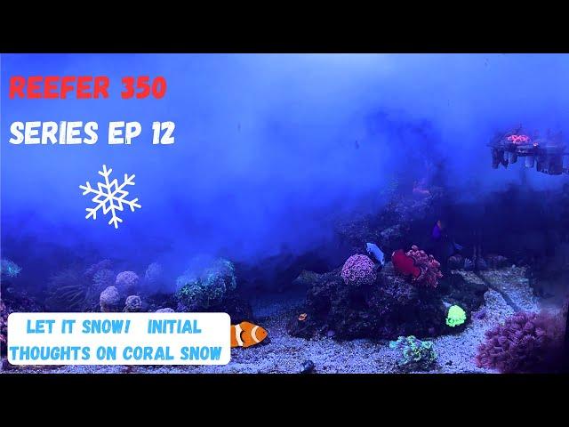 Redsea Reefer EP 12: Trying out CORAL SNOW initial thoughts