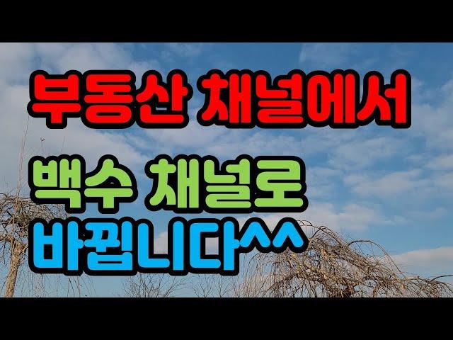 17년차 부동산중개업자의 리얼라이프를 보여 드립니다.