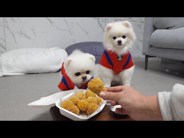 Gotta have Chicken & Beer to Cheer for the World Cup! I Made Chicken & Beer for the Puppies