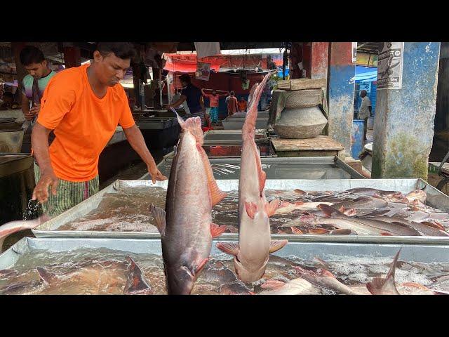 Exploring the Vibrant Fish Market in a Bangladeshi Village | Local River and Carp Fish