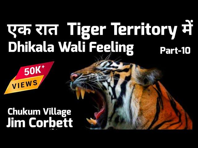 एक रात Tiger Territory में | Dhikala Wali Feeling | Chukum Village #wildlife #tiger #jimcorbett P-10