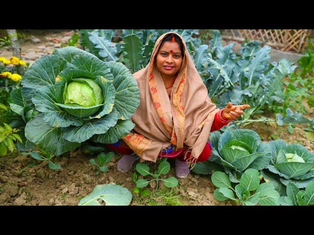 बंदगोभी की ऐसी सब्ज़ी जिसे खा कर सब आपकी तारीफ करेंगे | Spicy Cabbage Peas Recipe