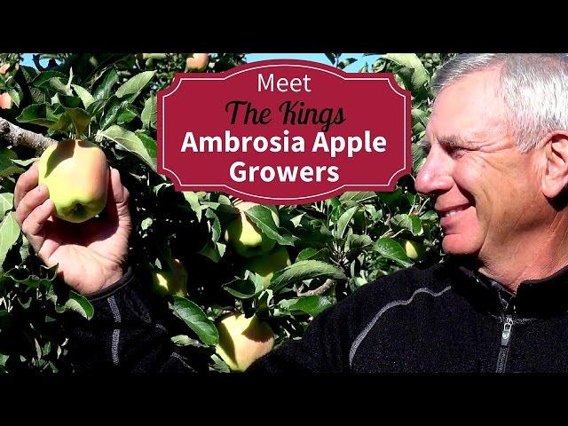 Meet Your BC Organic Ambrosia Apple Growers Richard and Robyn King