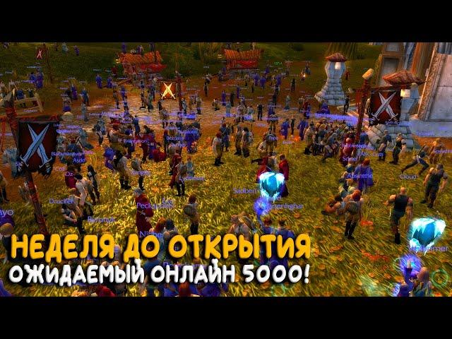 The Burning Crusade от WoW Circle. Обзор нового сервера World of Warcraft