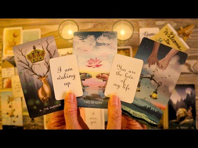 LOVE TAROT READING- THEY LOVE YOU! YOU LOVE THEM! TIME TO TALK!! 