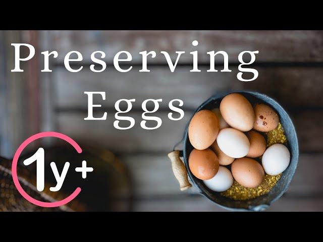 3 Easy Ways to Preserve Your Farm Fresh Eggs!