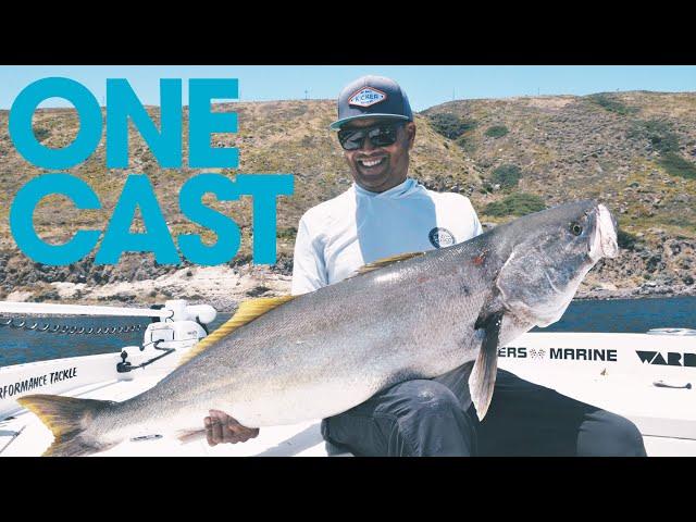 BIG WHITE SEA BASS  |  War/Rig  WSB  |  ONE CAST SERIES