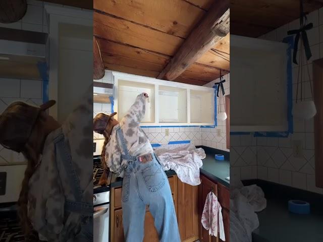 no one has more opinions than the anti-painters who don’t pay my mortgage #cabin #diy #homestead