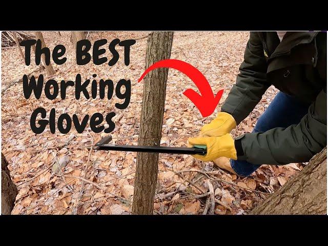 The Best Working/Outdoors Gloves you can buy