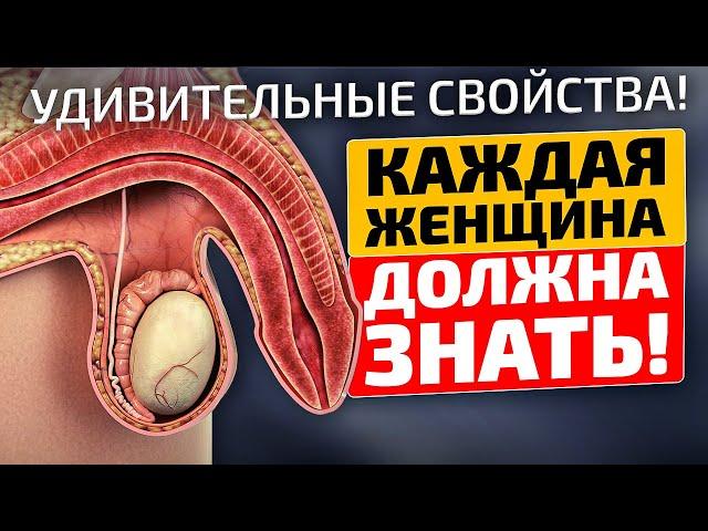 Поражает на что способно это обычное растение! Шалфей лечебные свойства и противопоказания