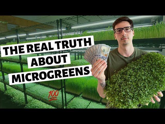 The REAL TRUTH About Growing Microgreens For Profit