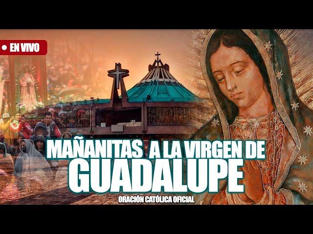 MAÑANITAS A LA VIRGEN DE GUADALUPE DESDE LA BASILICA DE NUESTRA SEÑORA DE GUADALUPE/12 DICIEMBRE2024