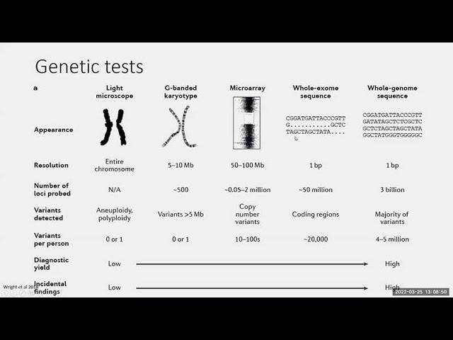 Genetics 101 and Developmental Disabilities