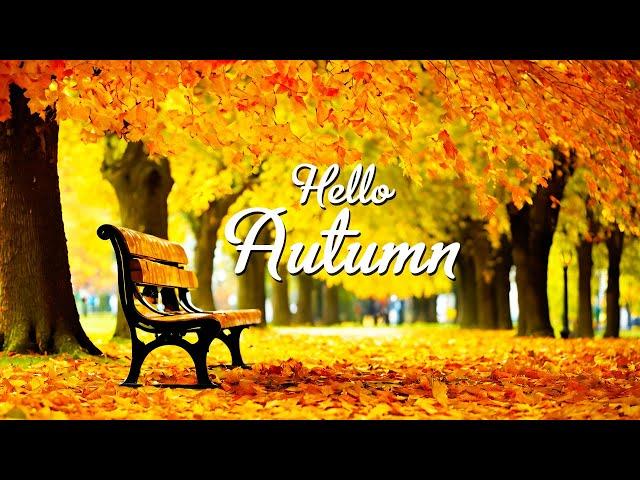 Autumn! Collection of the BEST Melodies that give you goosebumps  Music For the Soul