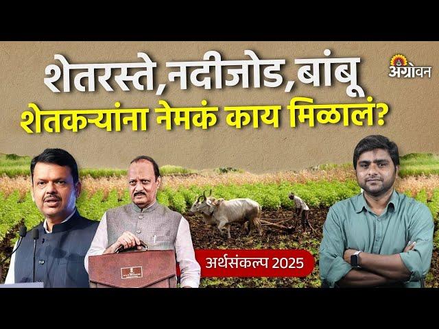 Budget for Farmers: शेतकऱ्यांसाठी अर्थसंकल्पात कोणत्या योजना जाहीर झाल्या ? | Agrowon