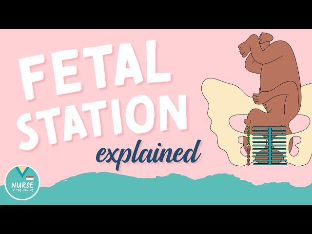 Fetal Station Overview | Mother Baby Nursing | NurseInTheMaking