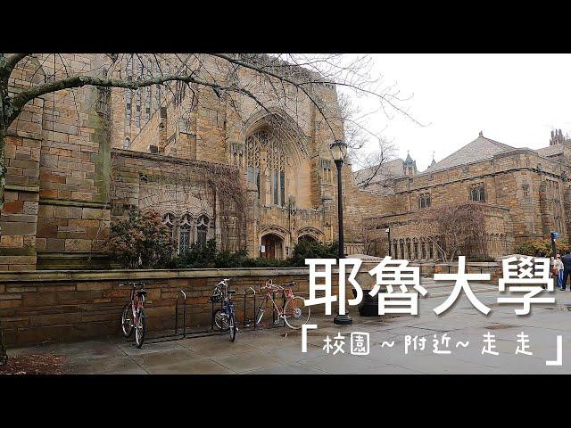 【耶鲁大學 Yale University】Campus Walking Tour  | College Tour 常春藤大學 漫步￼秋天美麗的校園