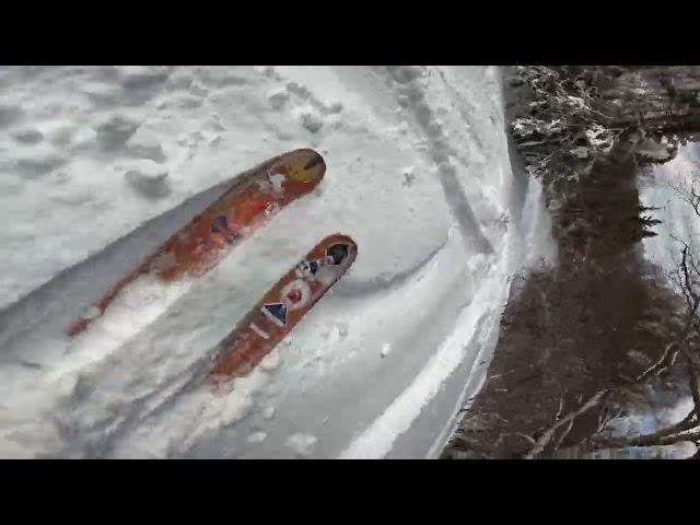 Powder Days - Forty-Niner to Interconnect Woods to Summit Glades East - Pico (2024)