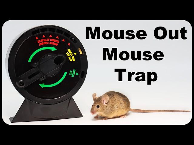 The Wilson's Mouse Out Mouse Trap From Canada. Mousetrap Monday.