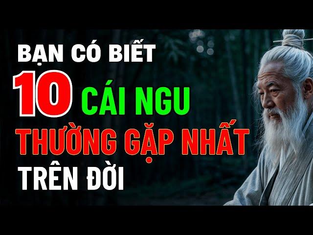 10 Cái Ngu Thường Gặp Nhất Trên Đời – Cổ Nhân Dạy Để Tránh Sai Lầm