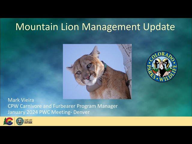 Colorado Parks and Wildlife | Mountain Lion Management Update