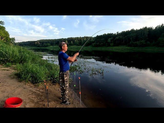 Западная Двина.Daugava.Фидер.На Рыбалку, для души!!!