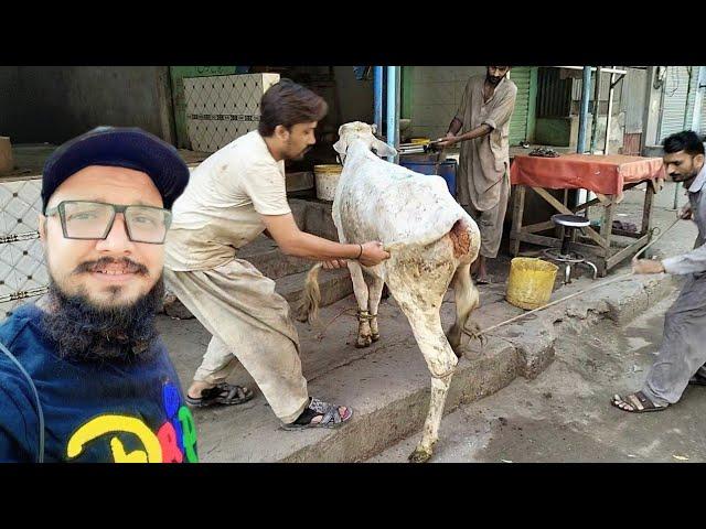 Cow Ko Girane Ka Challenge 1 | Cow Ko Girane Ka Asaan Tarika | Cow Ko Kese Girate Hai 