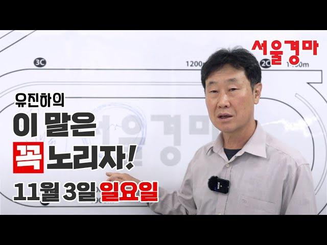 유진하의 이 말은 꼭 노리자!(2024년 11월 3일 일요일)