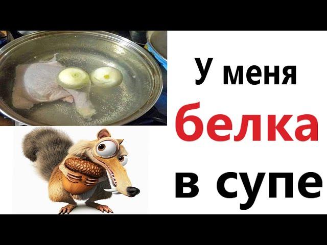 Приколы! У МЕНЯ БЕЛКА В СУПЕ - МЕМЫ!!! Смешные видео от – Доми шоу!